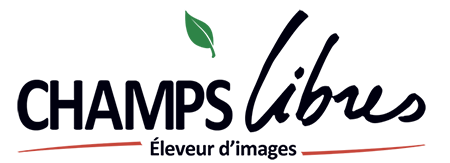 Logo Champs Libres
